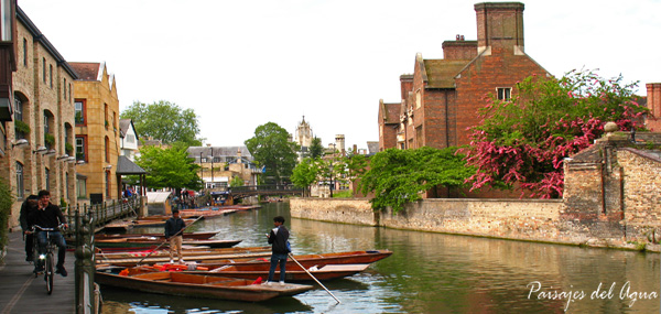 Cambridge, de paseo por el río Cam